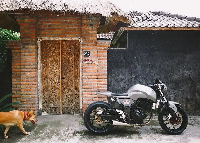 Swan House Canggu