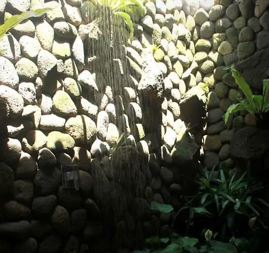 Swan House 2* Canggu